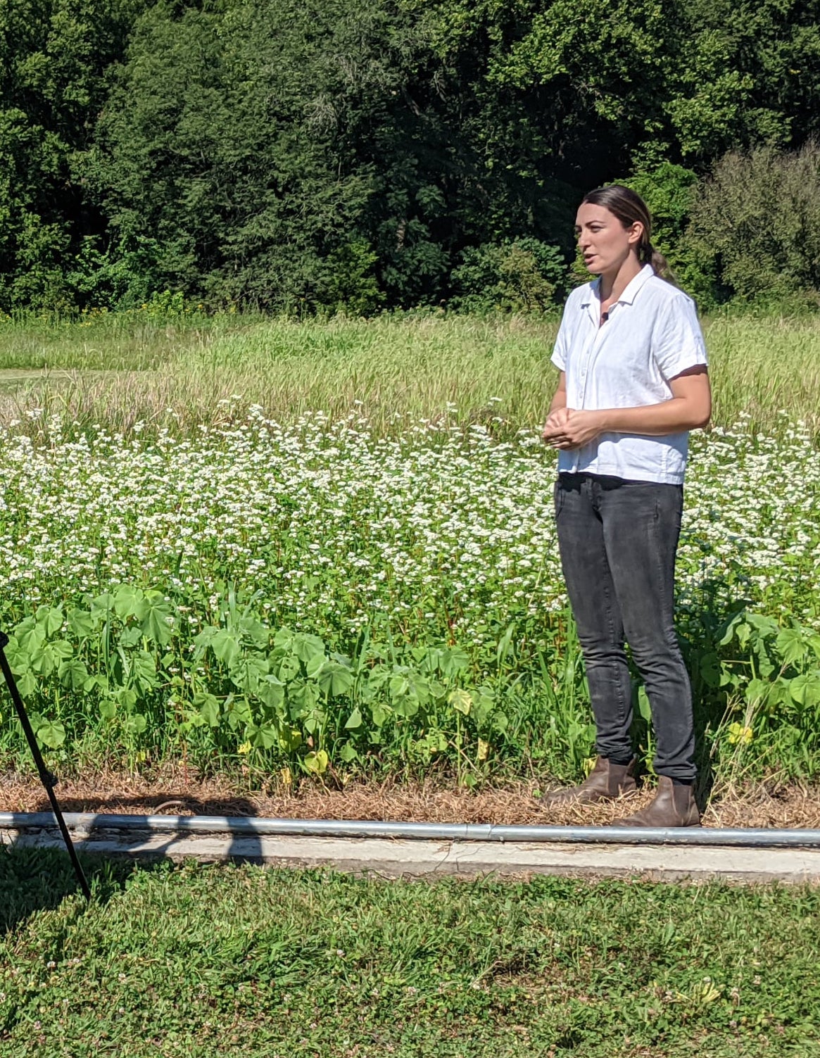 Megan gives a Cover Crop Demo